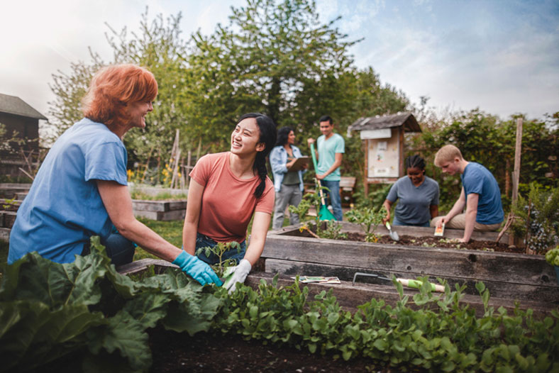 volunteers gardening